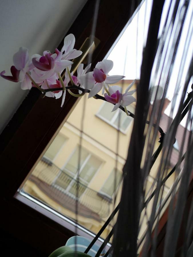 Danhostel 华沙 外观 照片